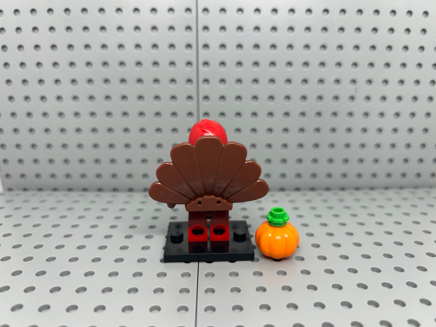 Turkey Costume Custom Minifigure